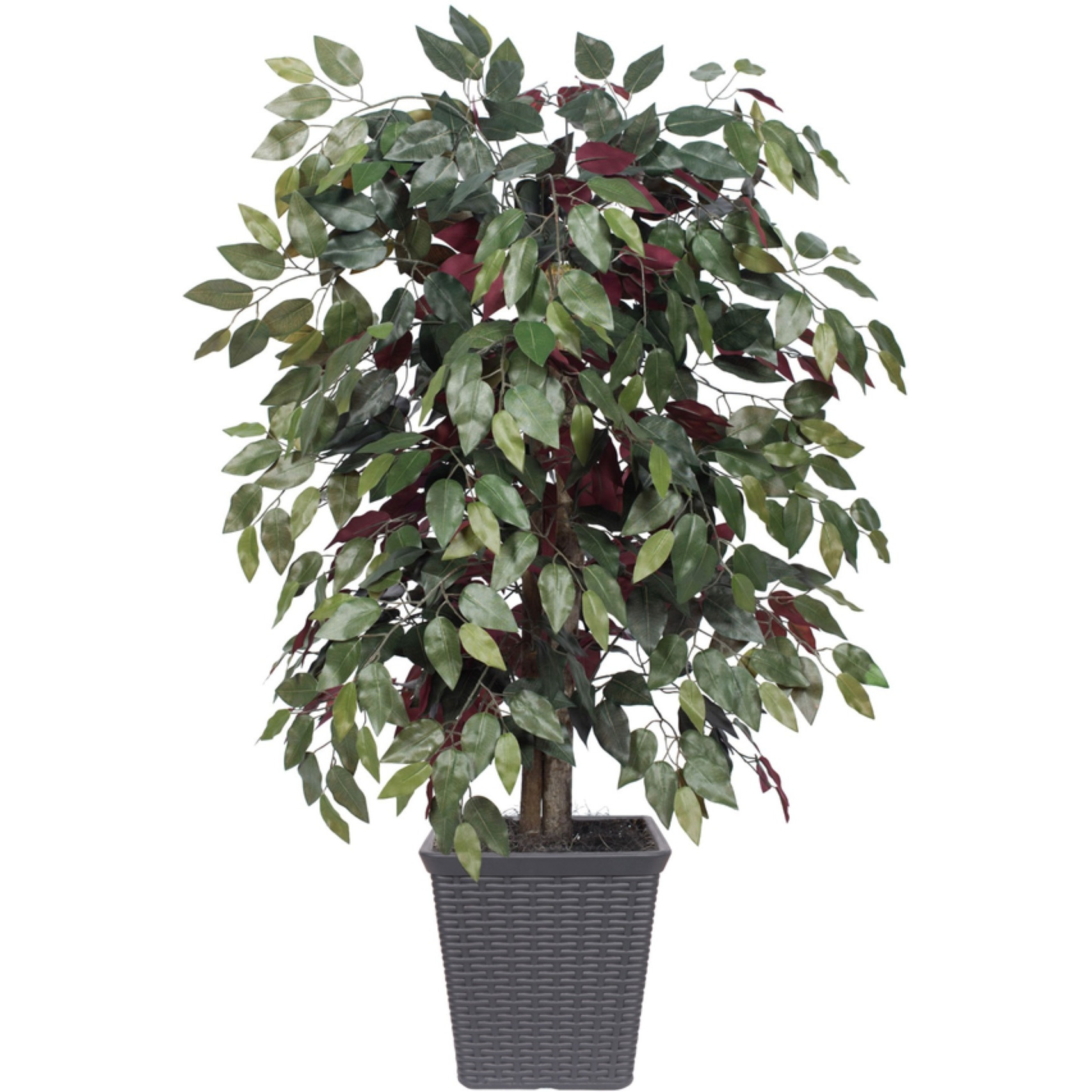 4' Capensia Bush Square Gray Container