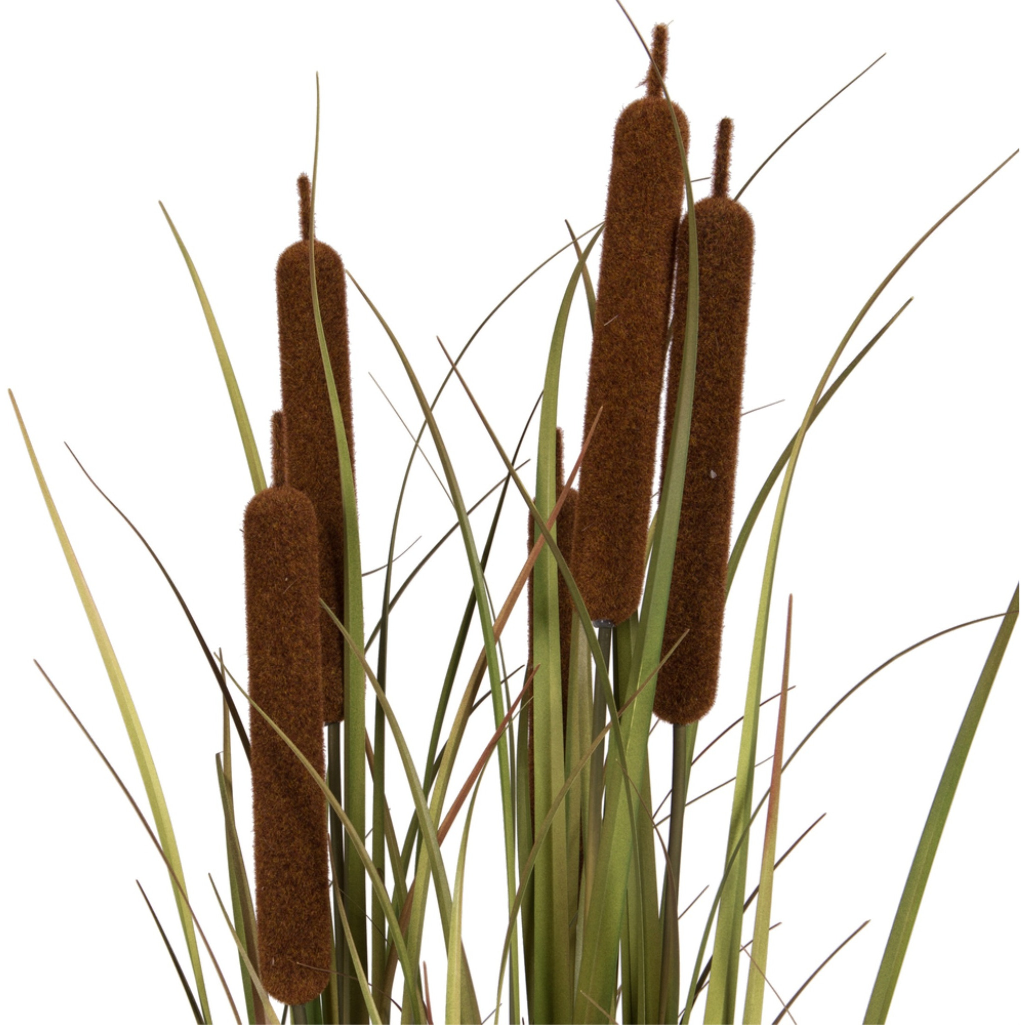 48" Brown Cattail Grass in Iron Pot