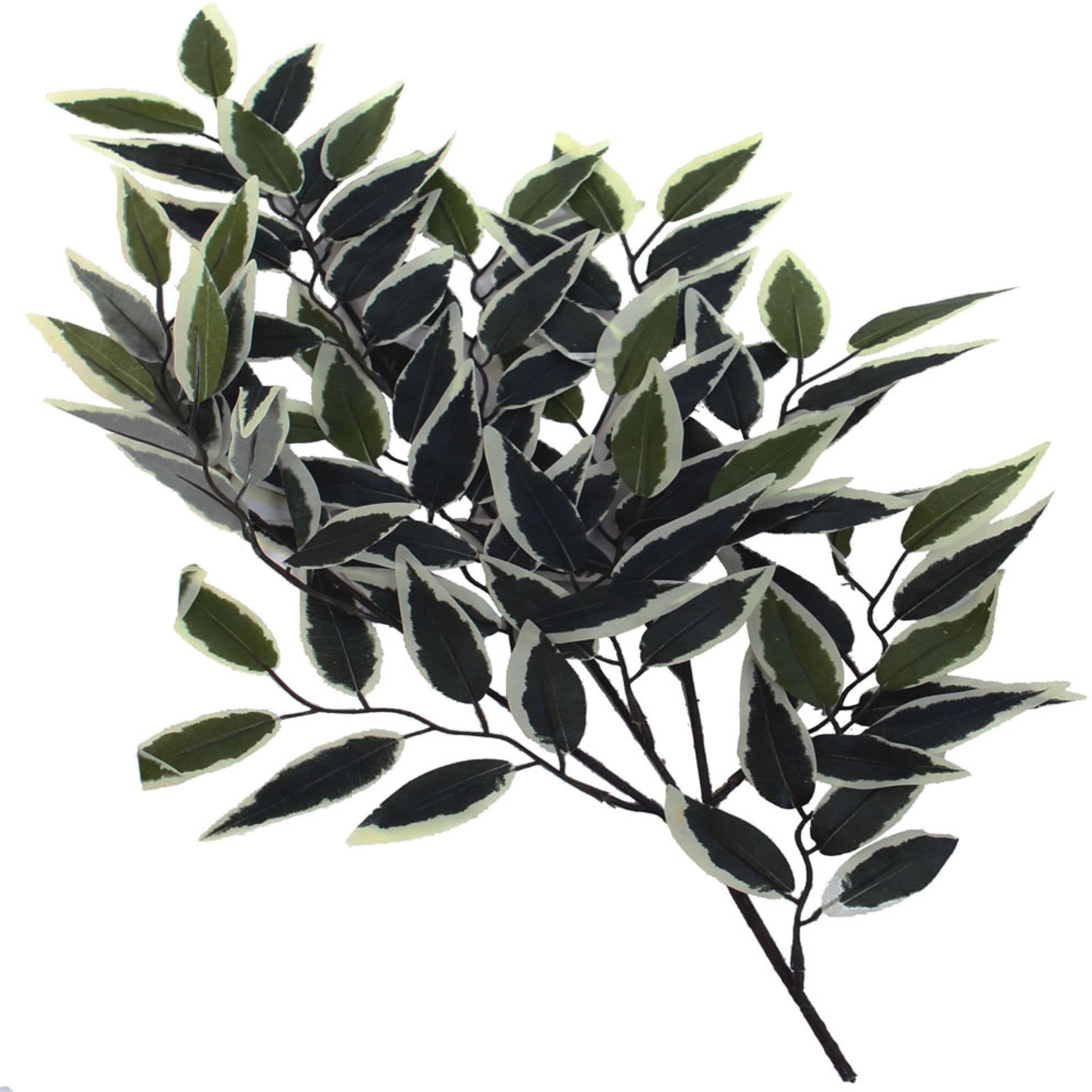 6' Variegated Smilax Executive Rnd Brown