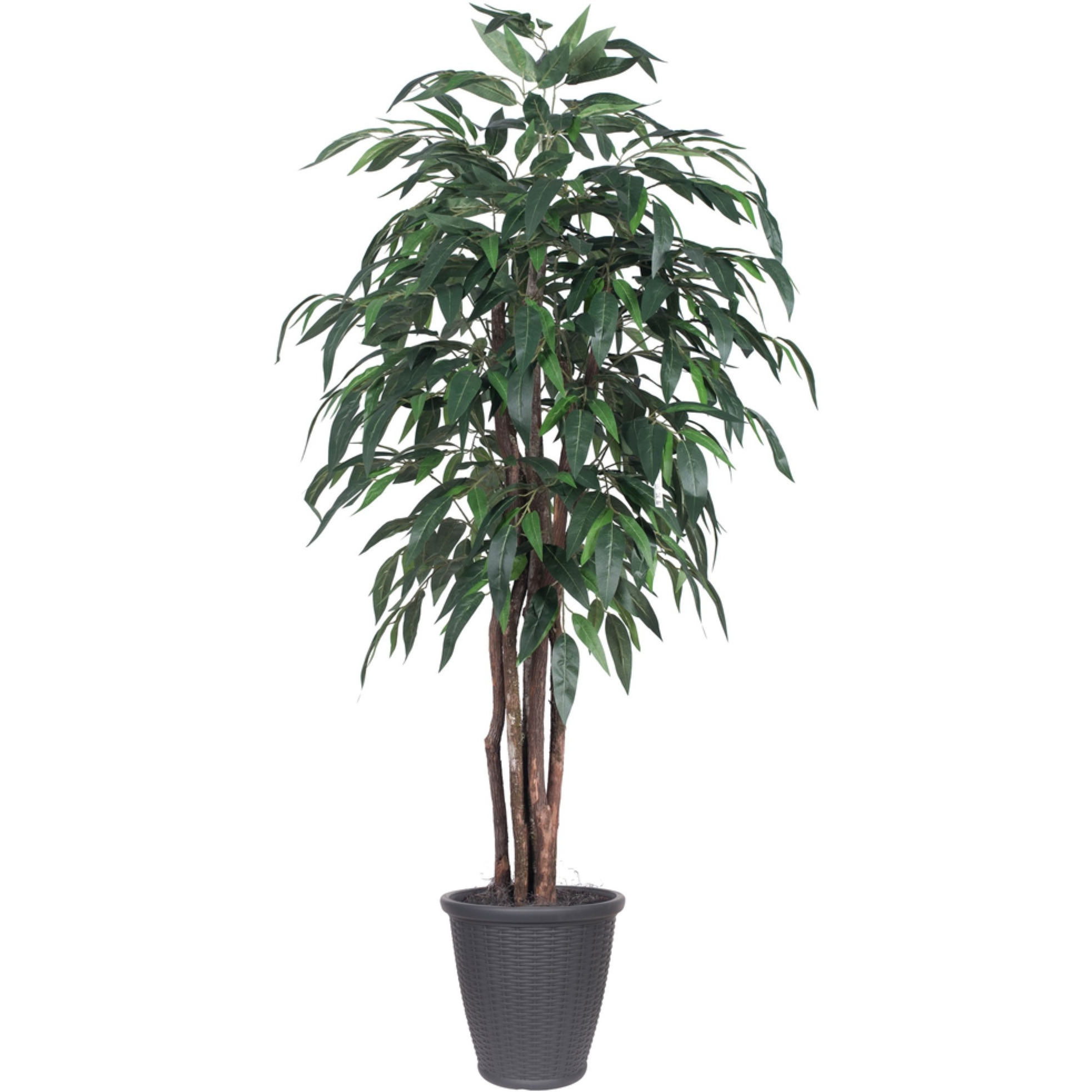 6' Mango Executive Round Gray Container