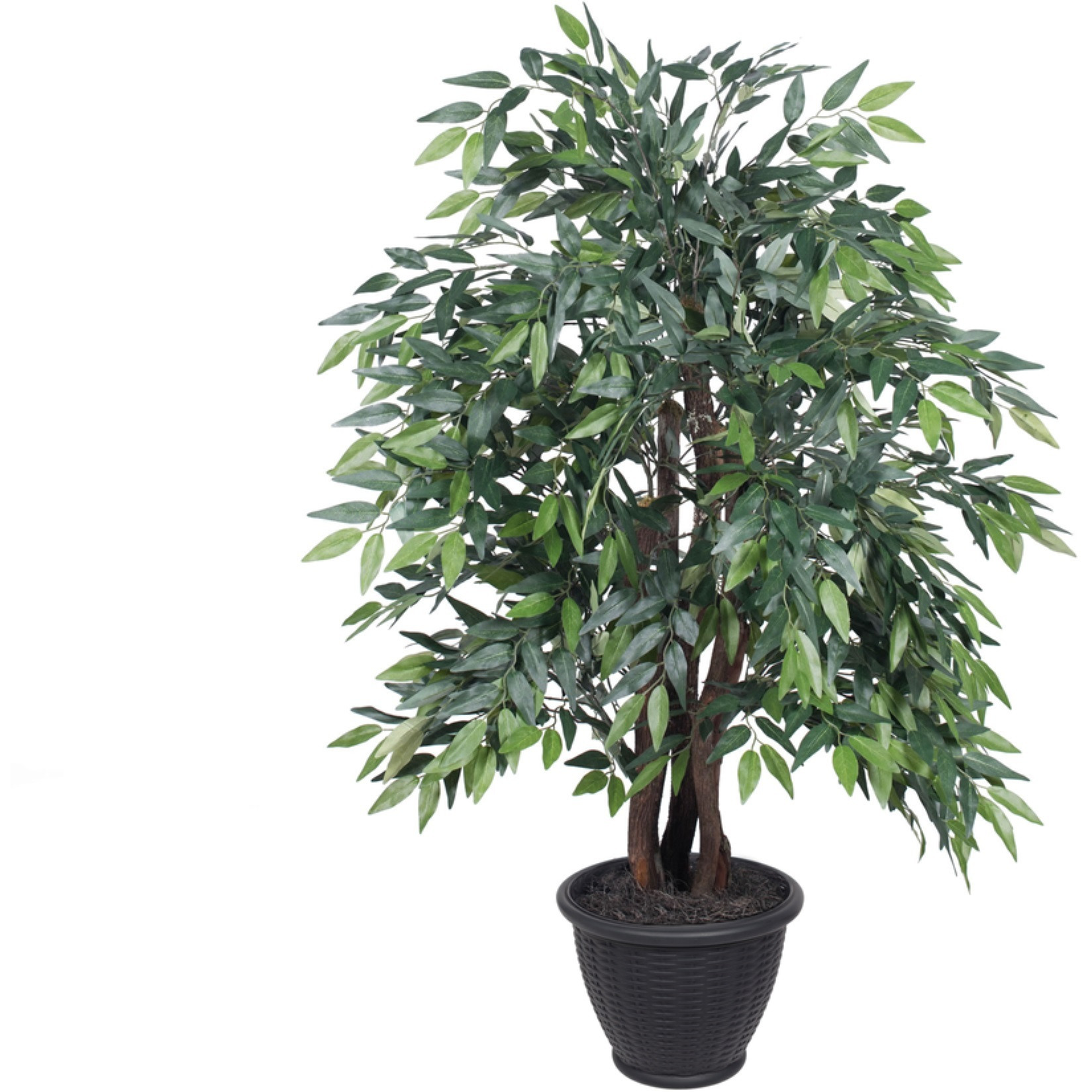 4' Green Smilax Extra Full in Gray Pot