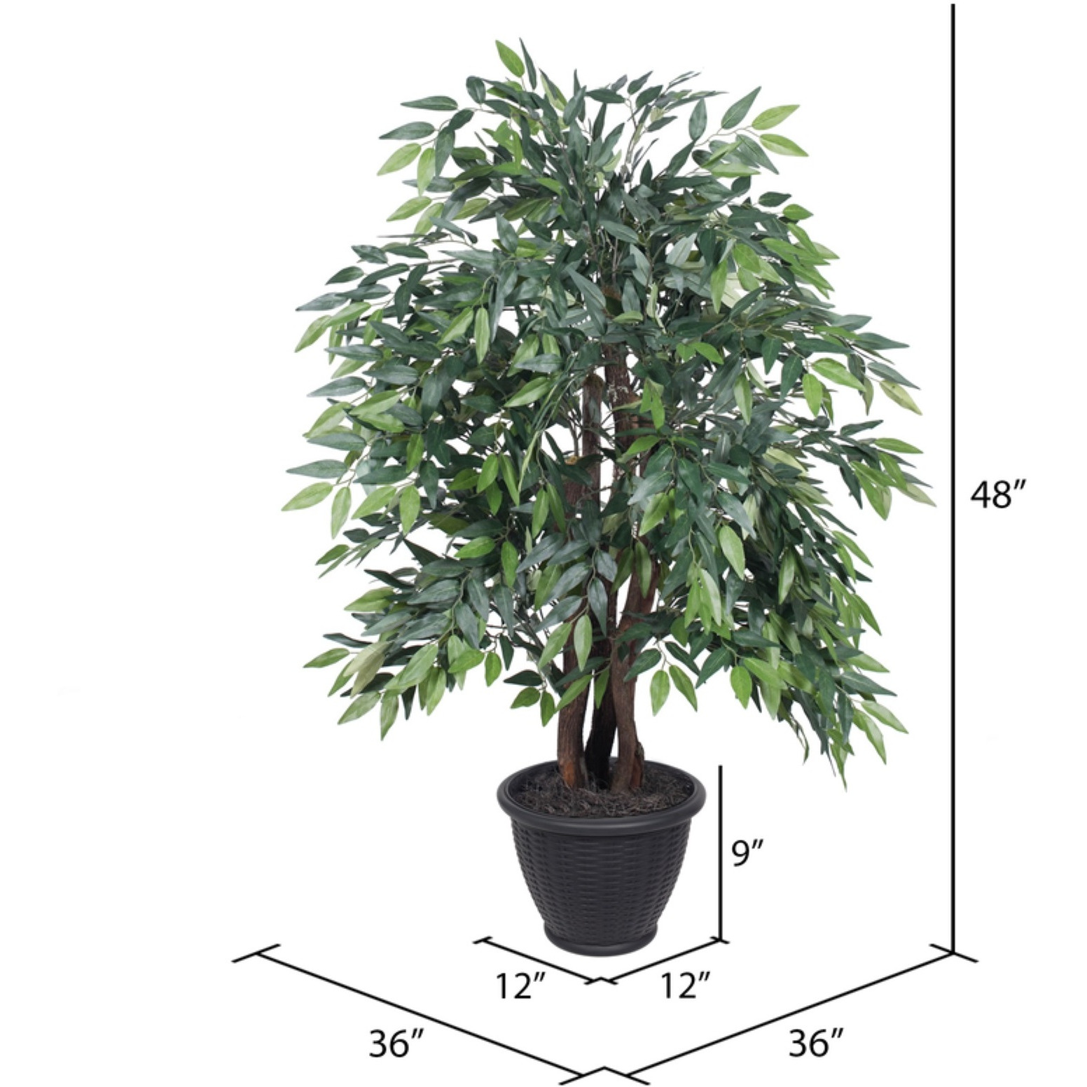 4' Green Smilax Extra Full in Gray Pot