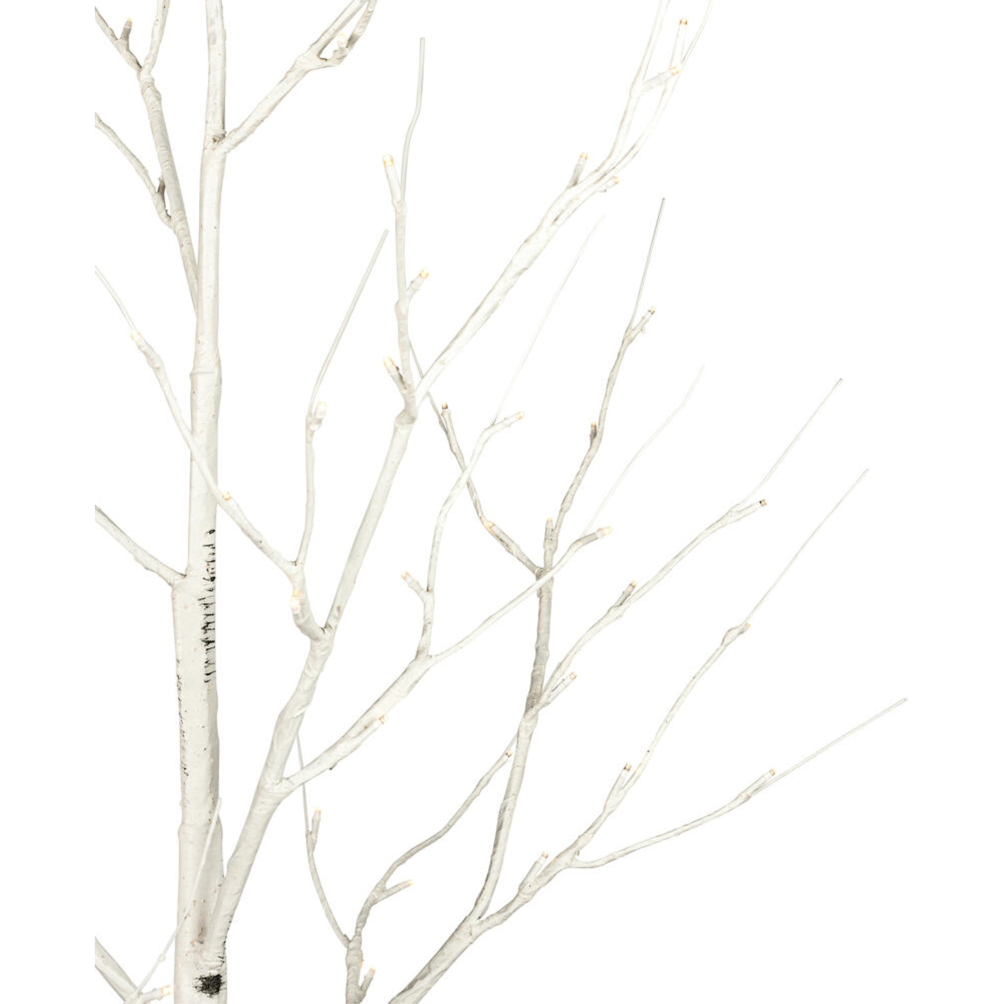 3' White Birch Twig Tree LED 36WW