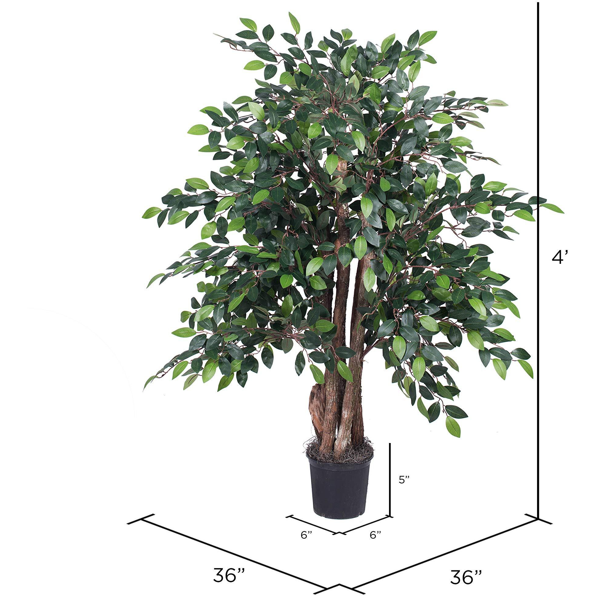 Vickerman 4' Mini Ficus Extra Full - TXX4240-06