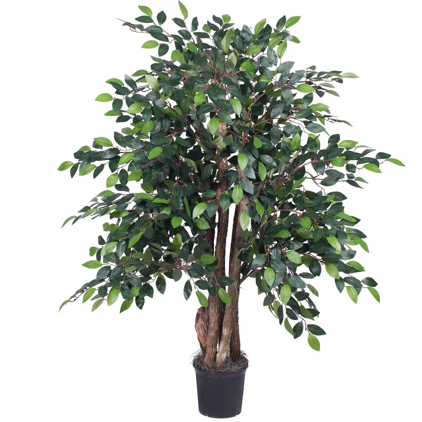 Vickerman 4' Mini Ficus Extra Full - TXX4240-06