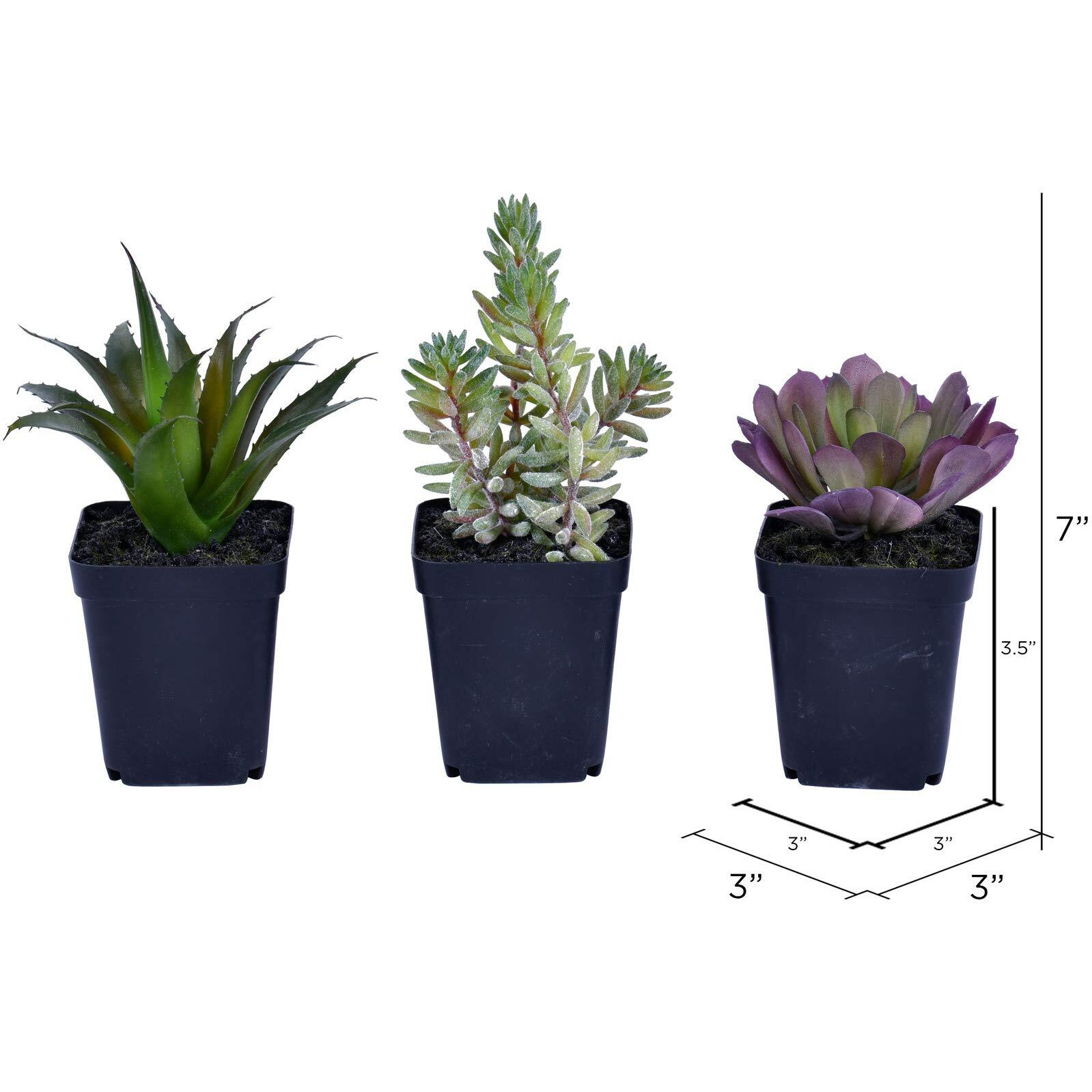 Vickerman 7" Green Potted Succulent Set/3 - FE191203