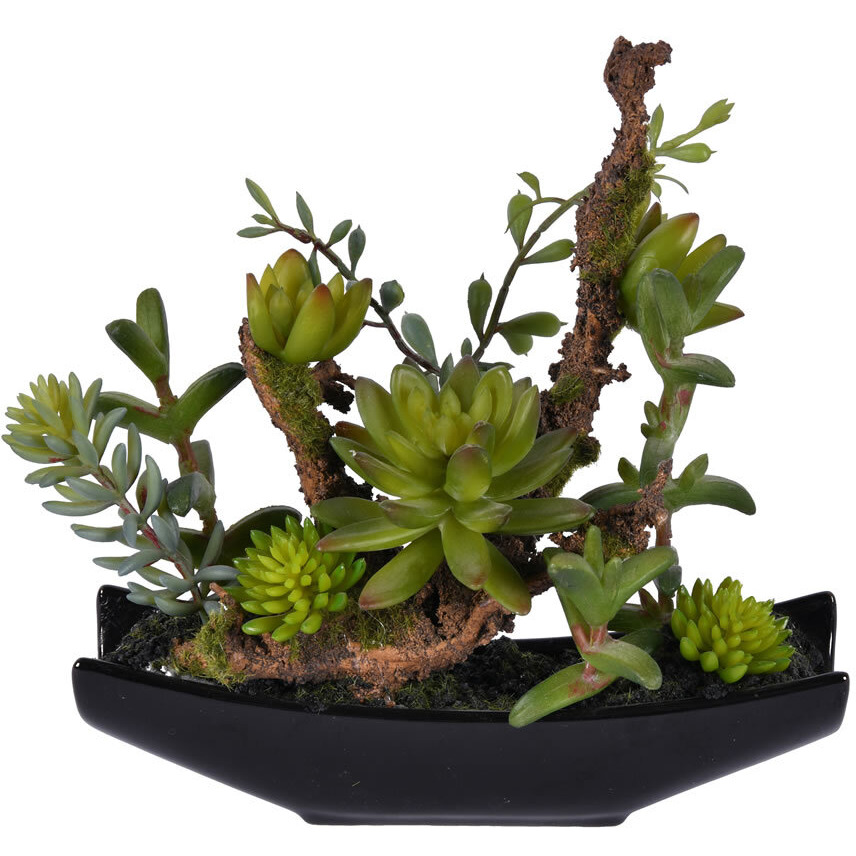 Vickerman 8" Green Mixed Succulent in Ceramic Pot - FE192308