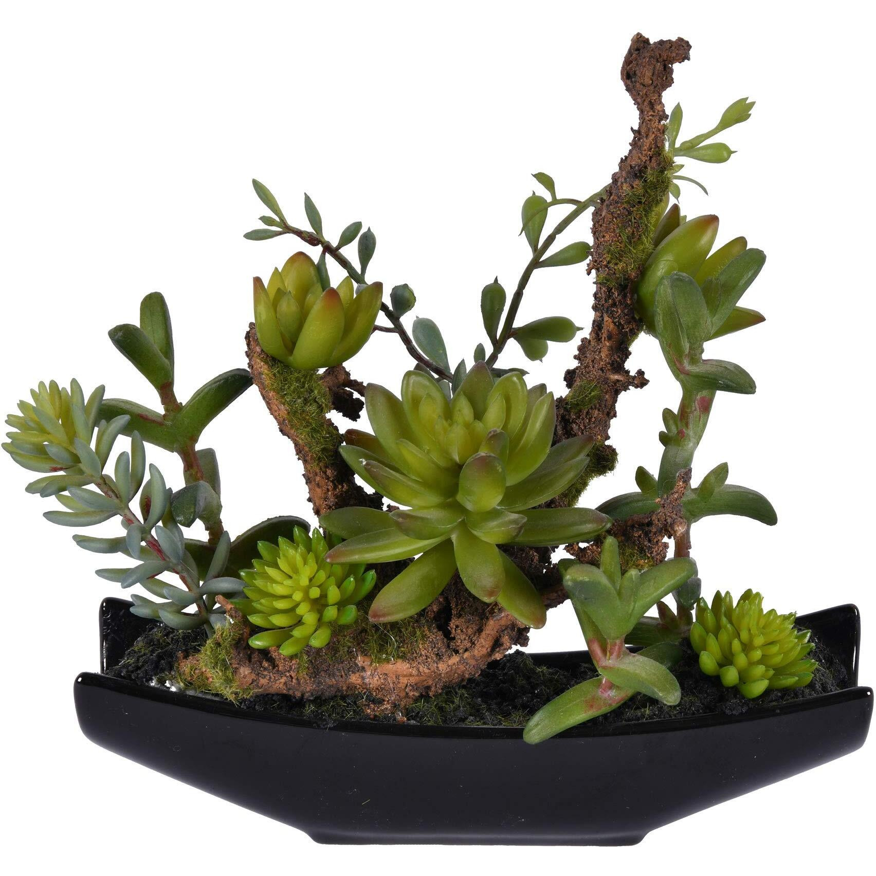 Vickerman 8" Green Mixed Succulent in Ceramic Pot - FE192308