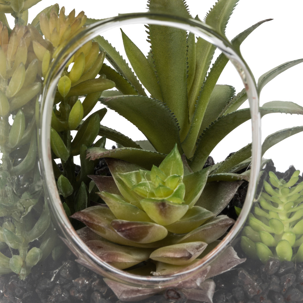 Vickerman 9" Green Asst Succulents in Glass Jar - FH182601