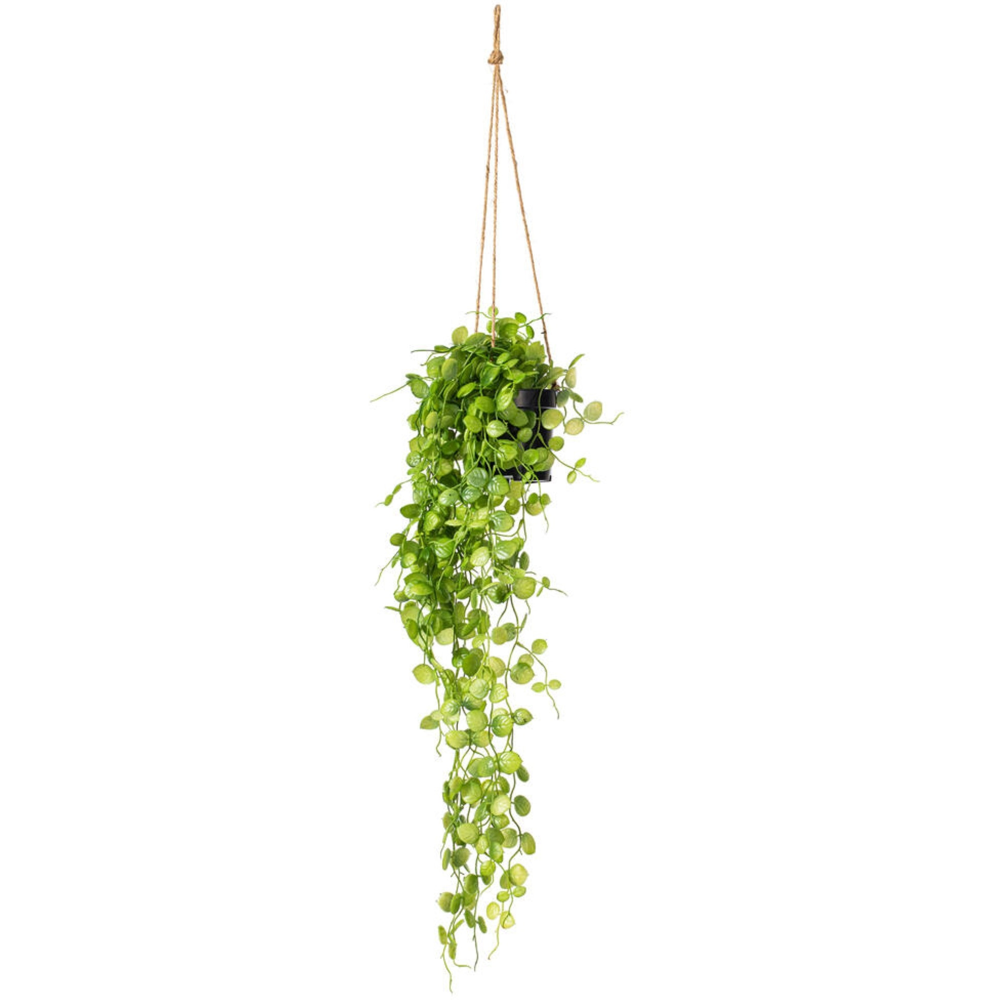 Vickerman 29" Artificial Green Mini Leaf Ivy in Hanging Pot.