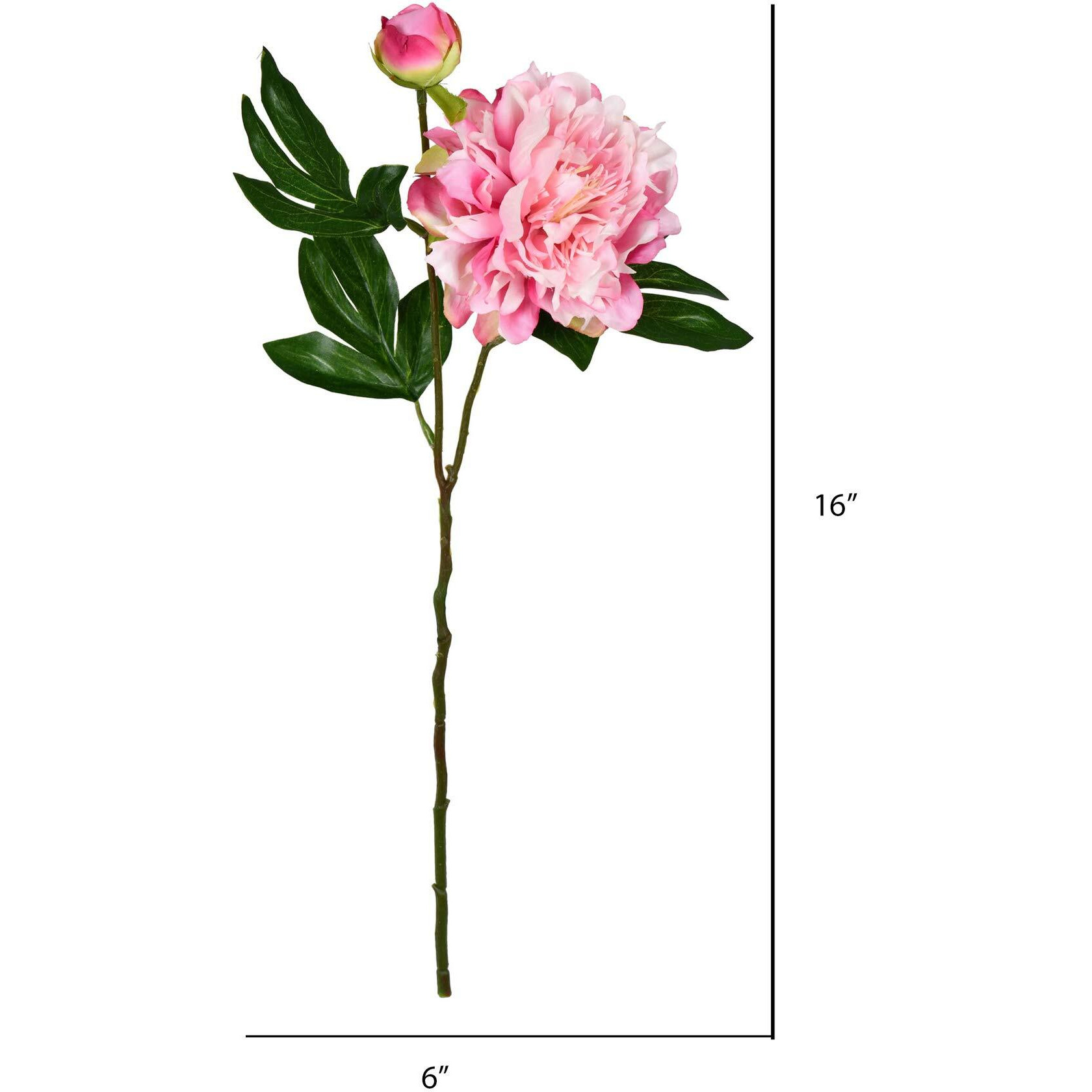 Vickerman 16" Light Pink Peony Spray 6/Pk - FV190975