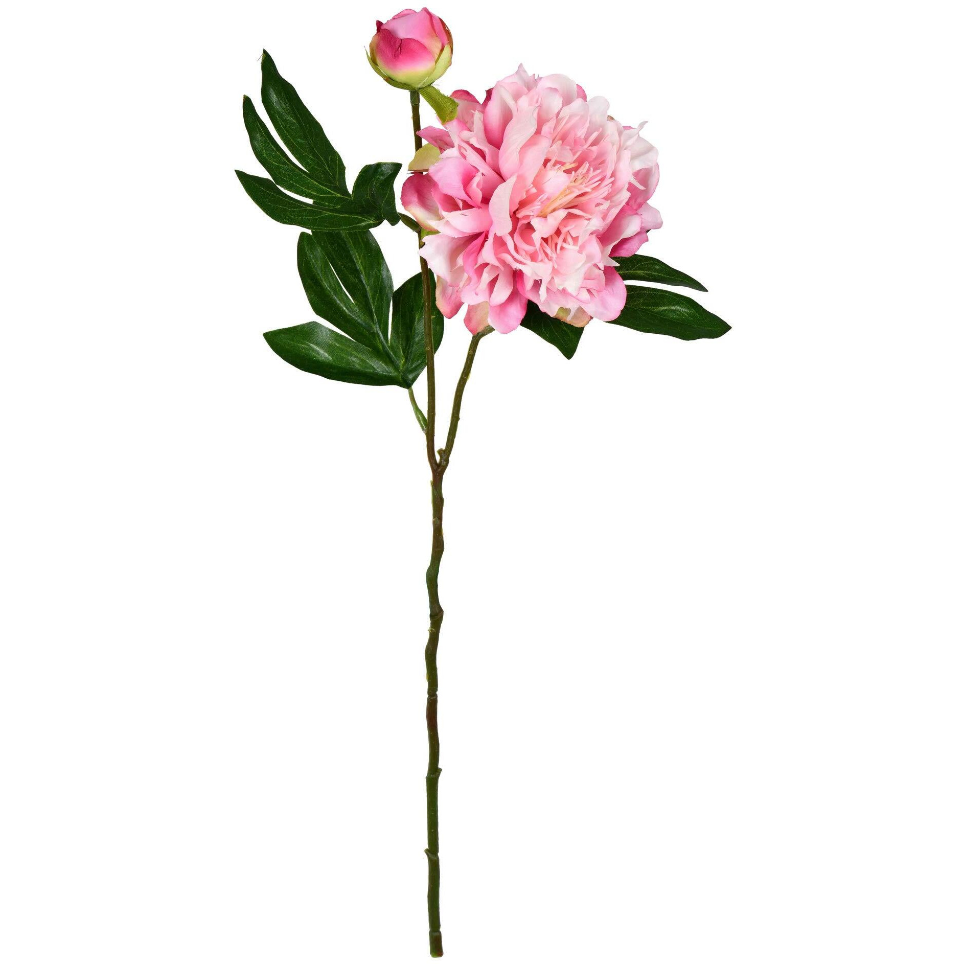 Vickerman 16" Light Pink Peony Spray 6/Pk - FV190975