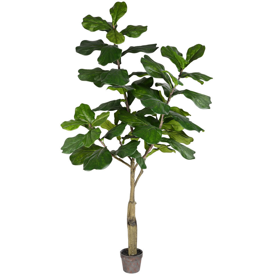 Vickerman 6' Potted Fiddle Tree 65Lvs - TB180272