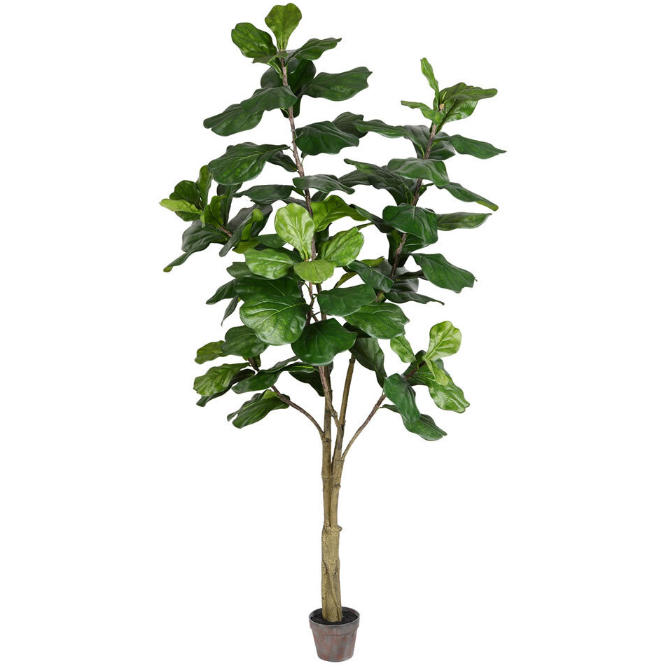 Vickerman 7' Potted Fiddle Tree 89Lvs - TB180284