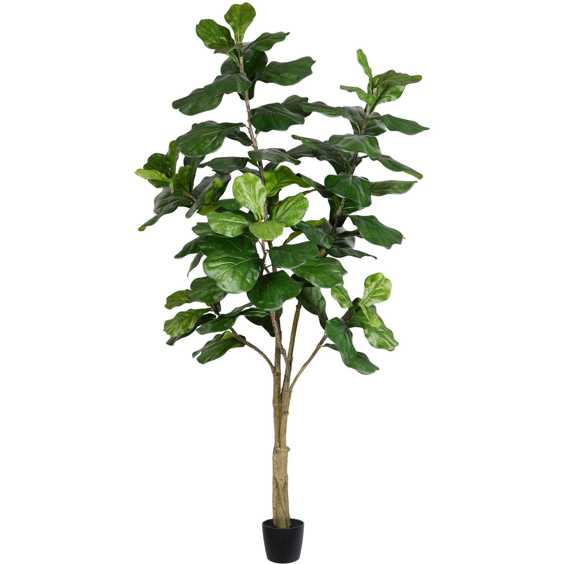 Vickerman 7' Potted Fiddle Tree 89Lvs - TB180284