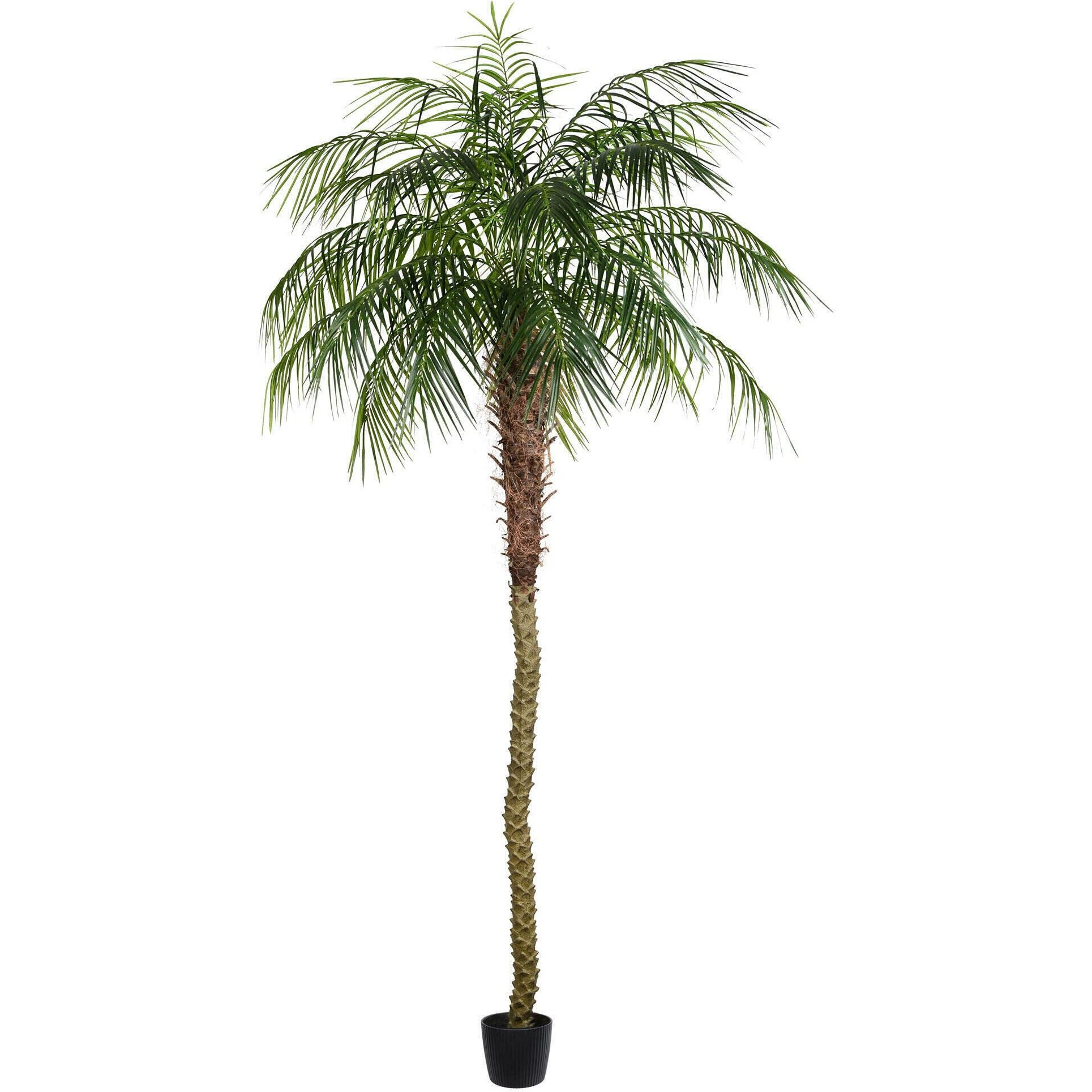 Vickerman 9' Potted Pheonix Palm Tree 1144Lvs - TB180399