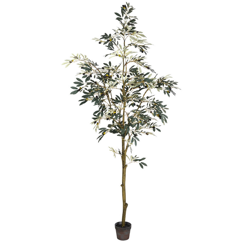 Vickerman 7' Potted Olive Tree 1175Lvs - TB180584