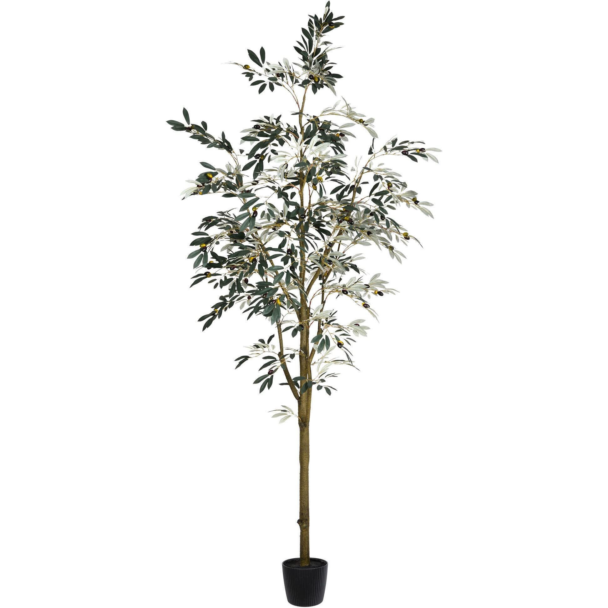 Vickerman 8' Potted Olive Tree 1449Lvs - TB180596