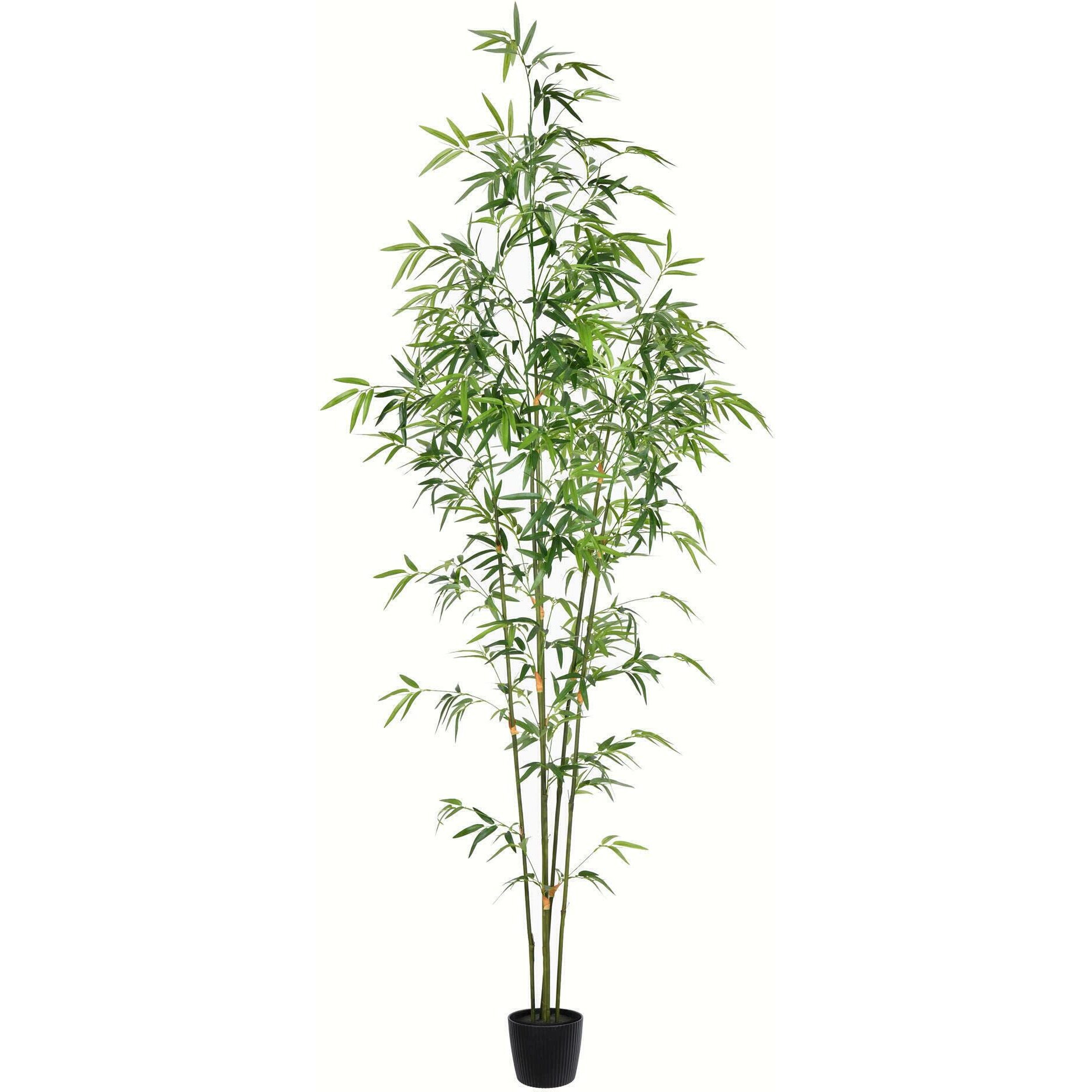 Vickerman 6' Potted Mini Bamboo Tree 1193 Leaves - TB190460