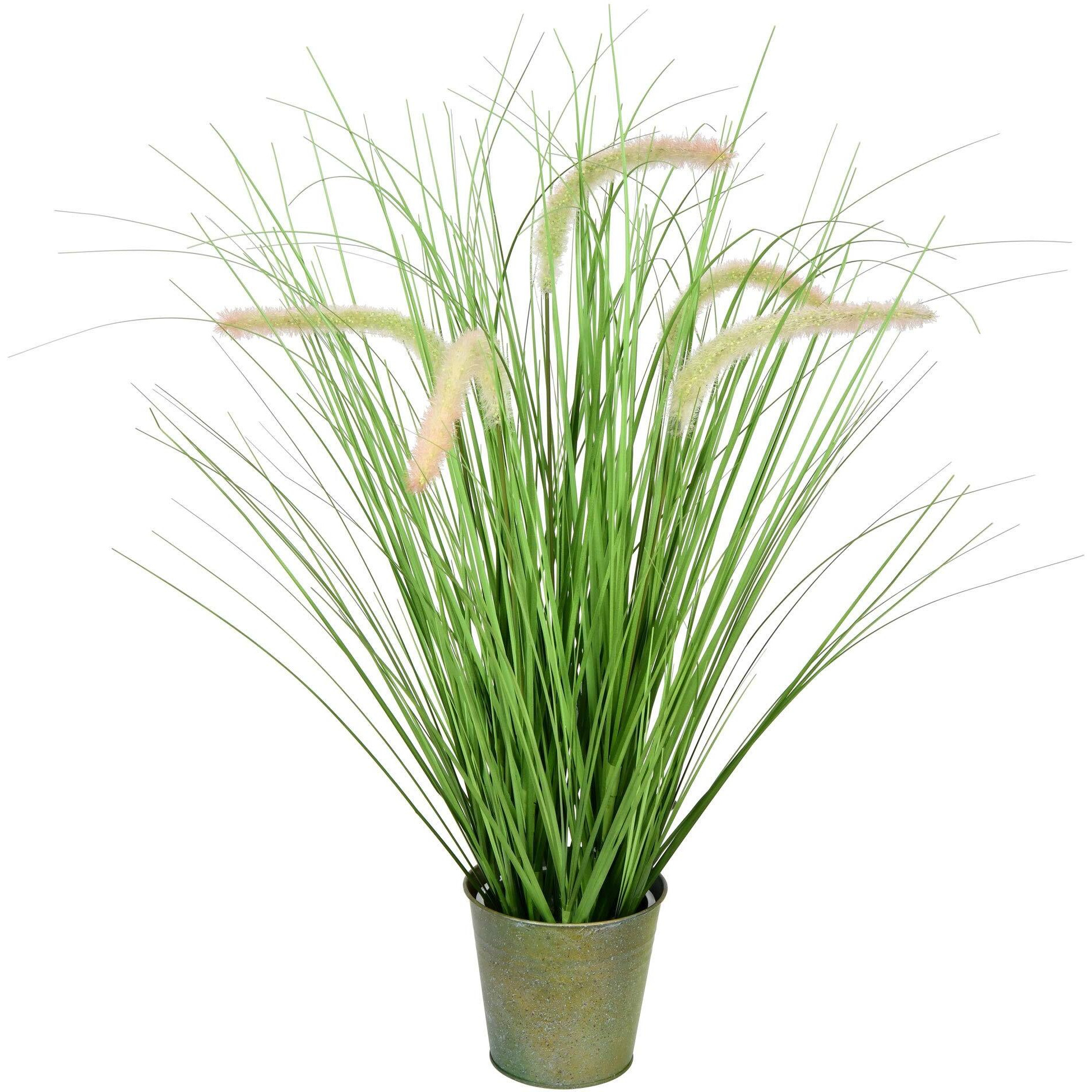 Vickerman 26" Green Cattail Grass In Iron Pot - TD190126