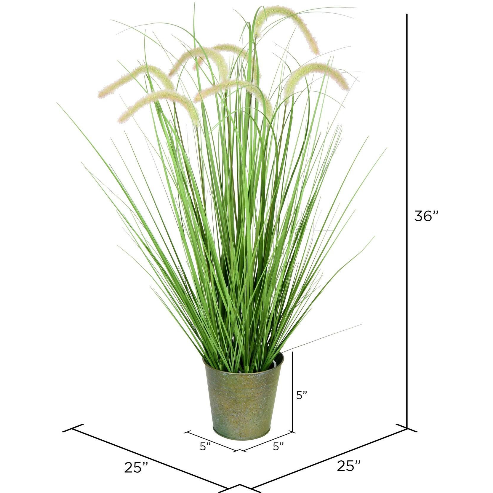 Vickerman 36" Green Cattail Grass In Iron Pot - TD190136