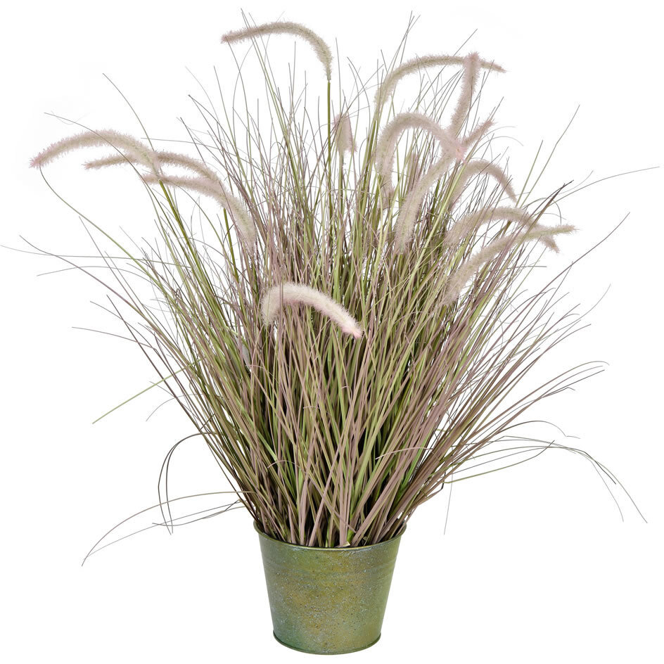 Vickerman 34" Green Cattail Grass In Iron Pot - TD190736