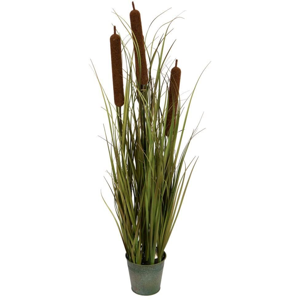 Vickerman 34" Green Cattail Grass In Iron Pot - TD190736