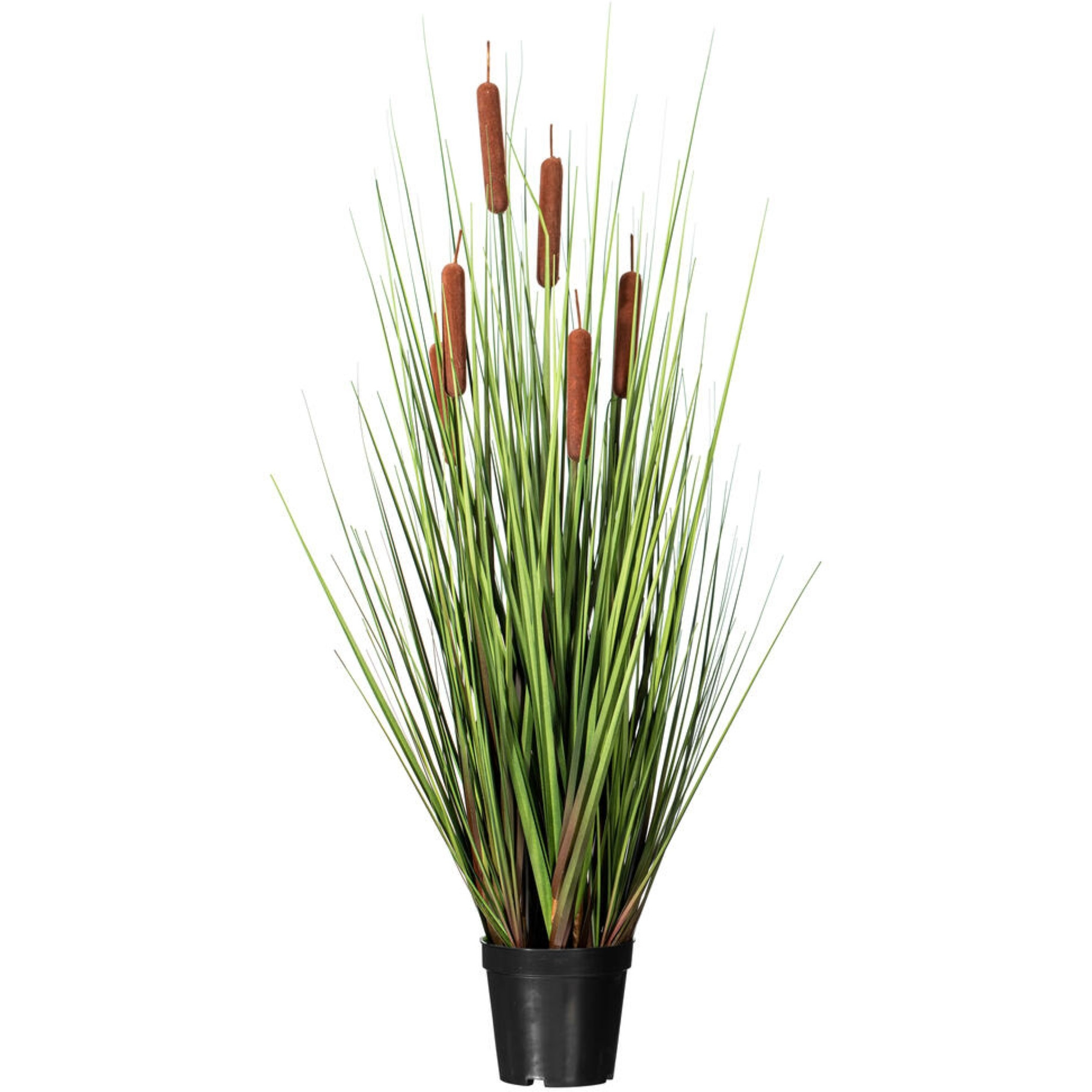 Vickerman 36" Artificial Potted Green Straight Gras and Cattails.