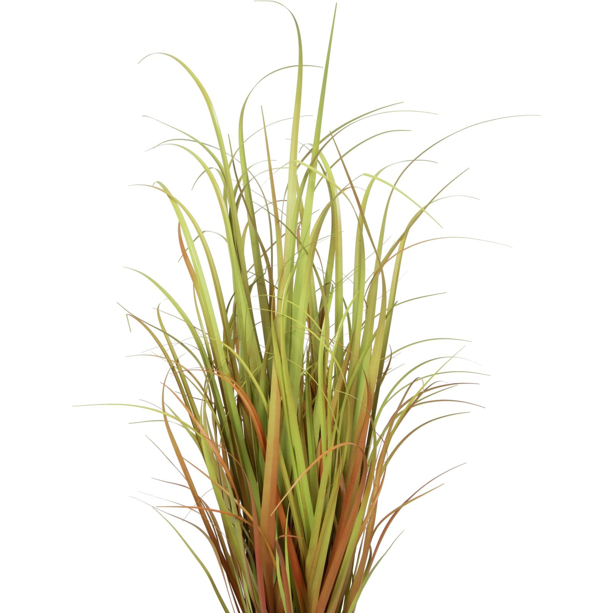 Vickerman 36" Mixed Brown Grass in Pot - TN170836