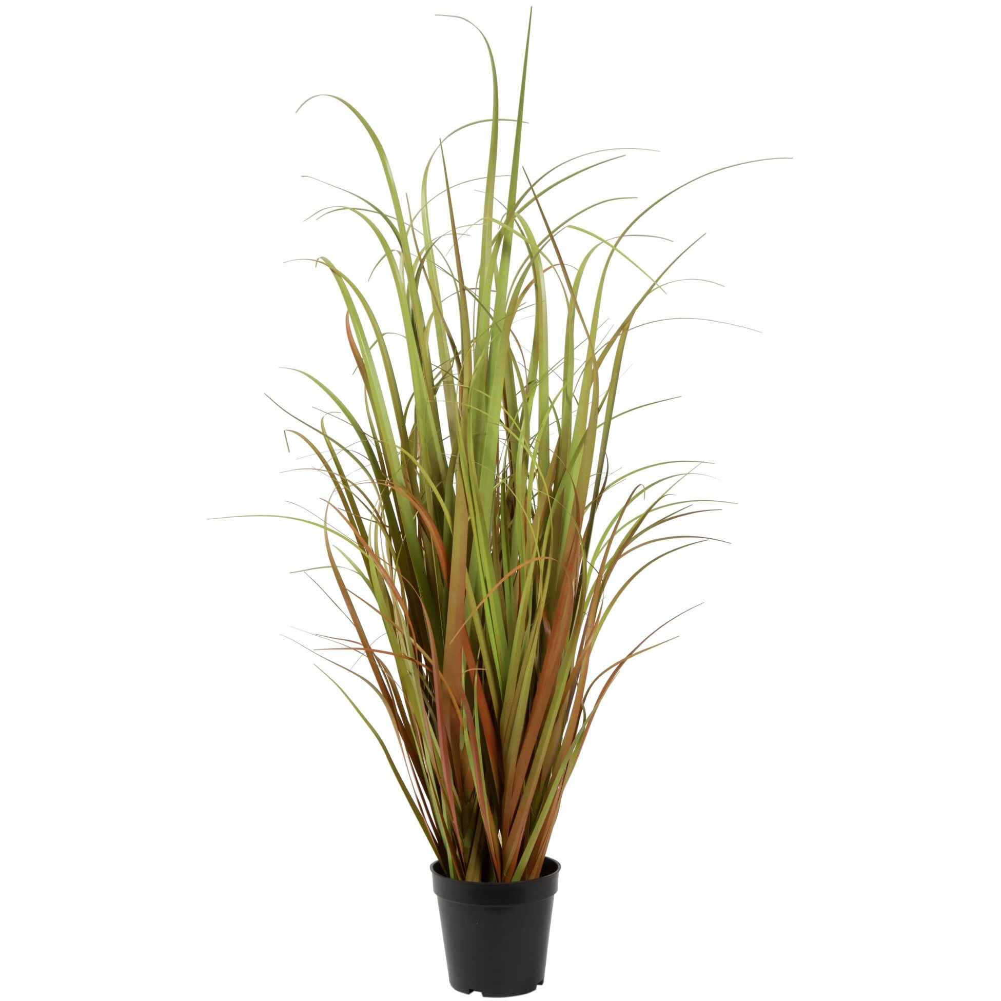 Vickerman 36" Mixed Brown Grass in Pot - TN170836