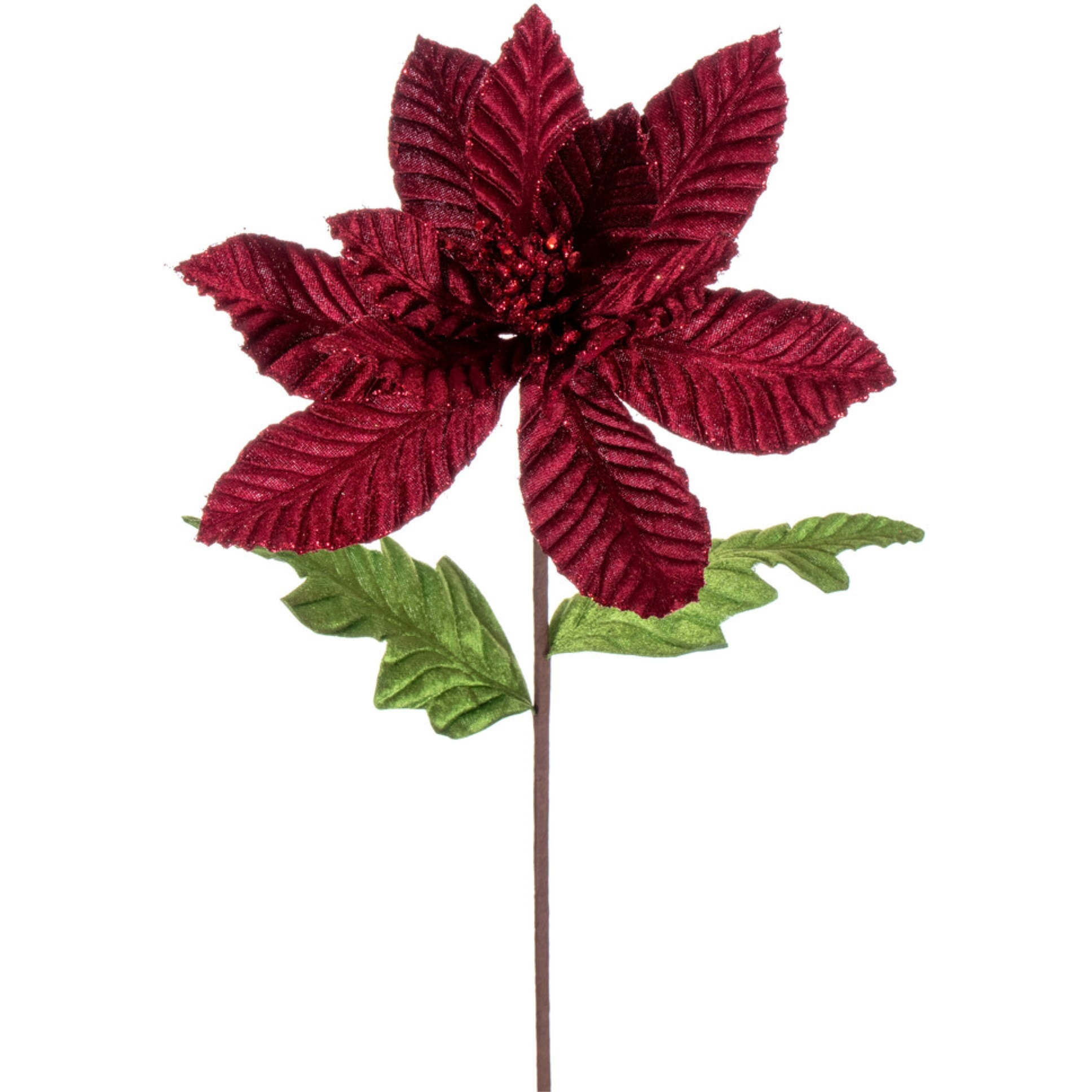 Vickerman 22" Burgundy Velvet Glitter Trim Poinsettia 6 per bag.