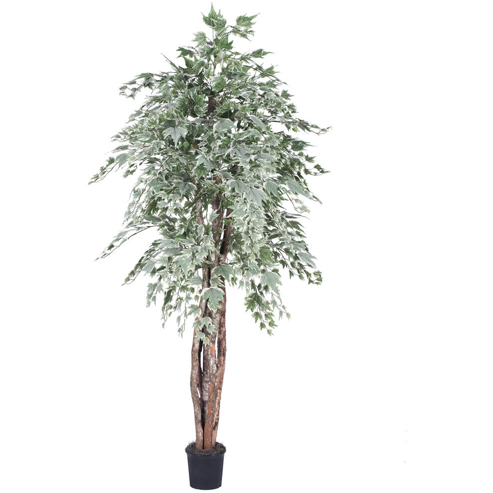 Vickerman 6' Silver Maple Executive - TEX1660-07