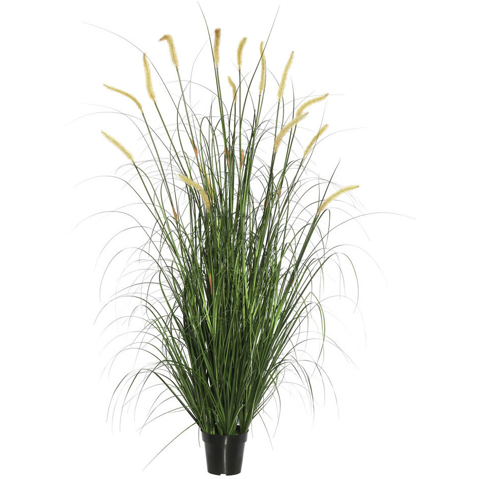 Vickerman 60" Green Foxtail Grass in Pot - TN170760