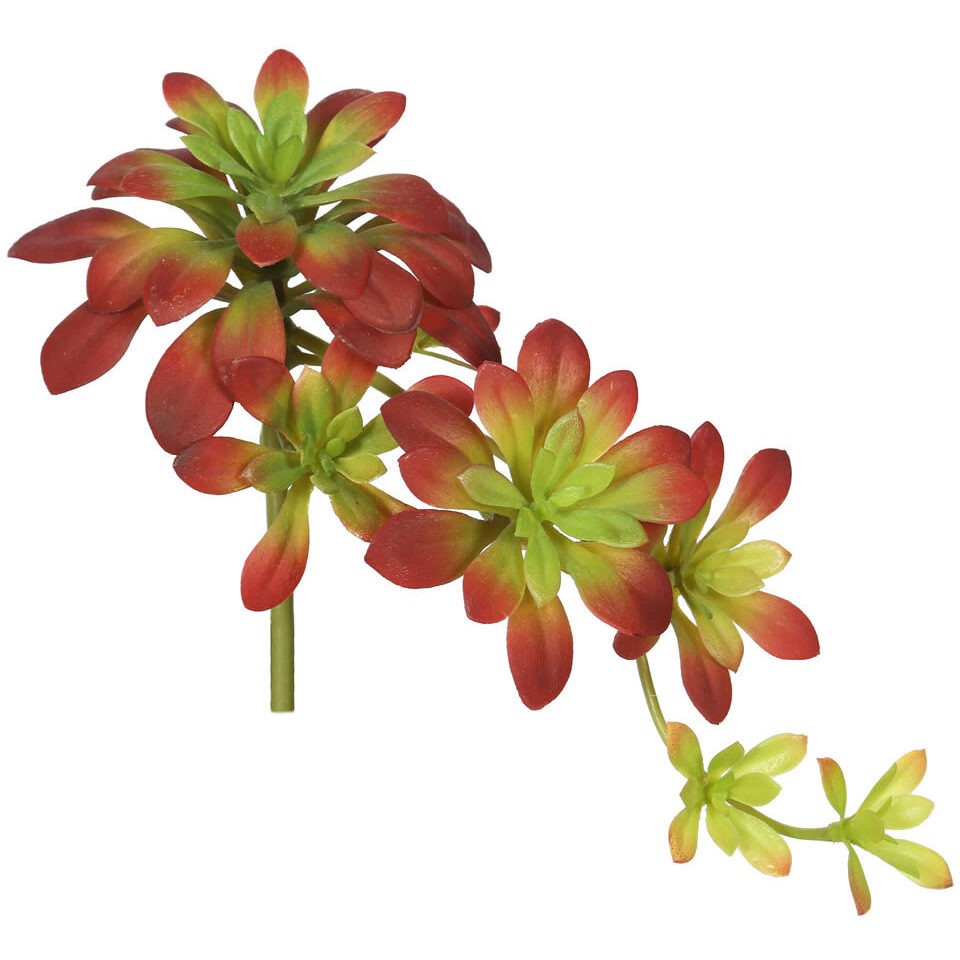 Vickerman 7" Atropurpureum-Burgundy/Green(Pk/3) - FA170101