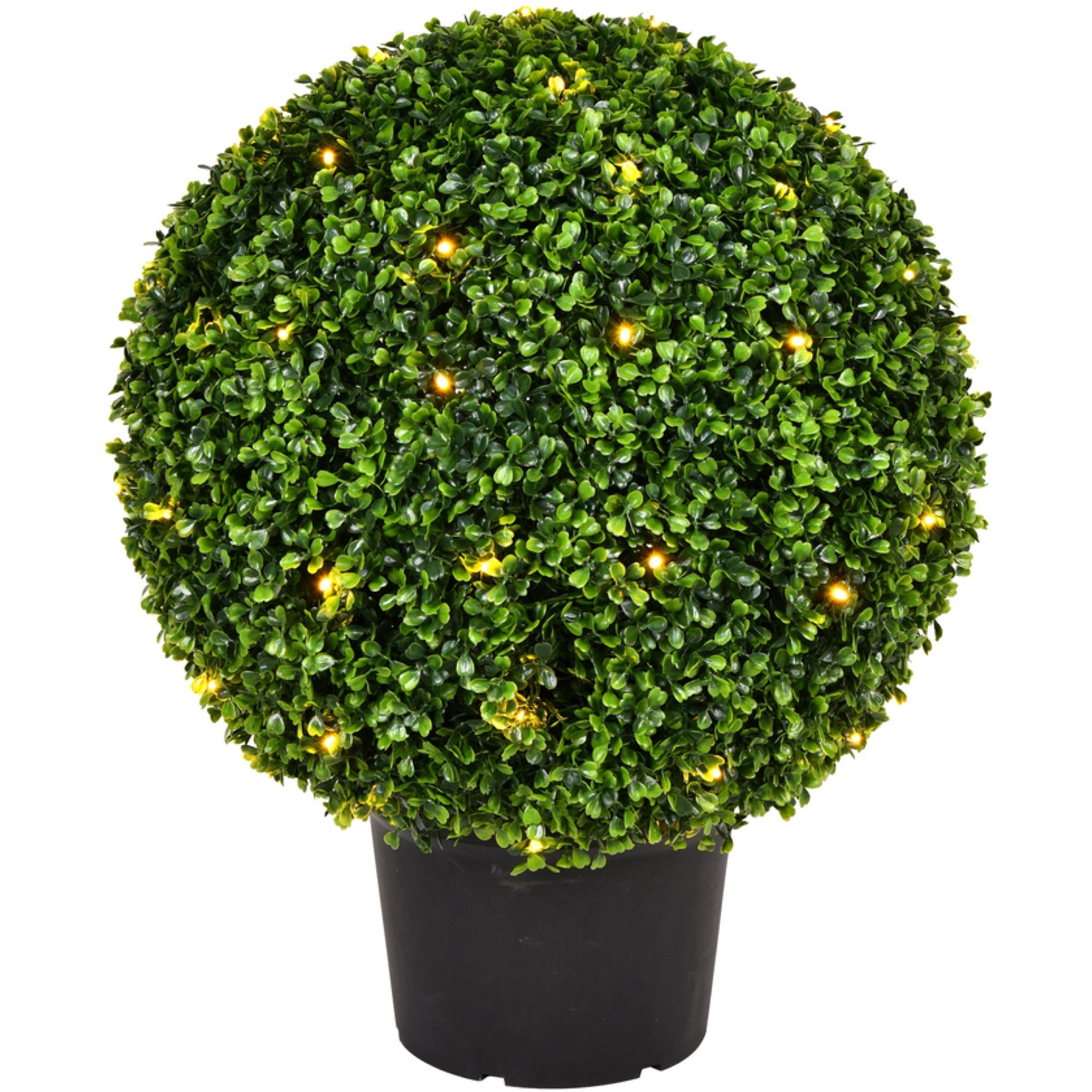 20" Boxwood Ball in Pot UV 70WW LED