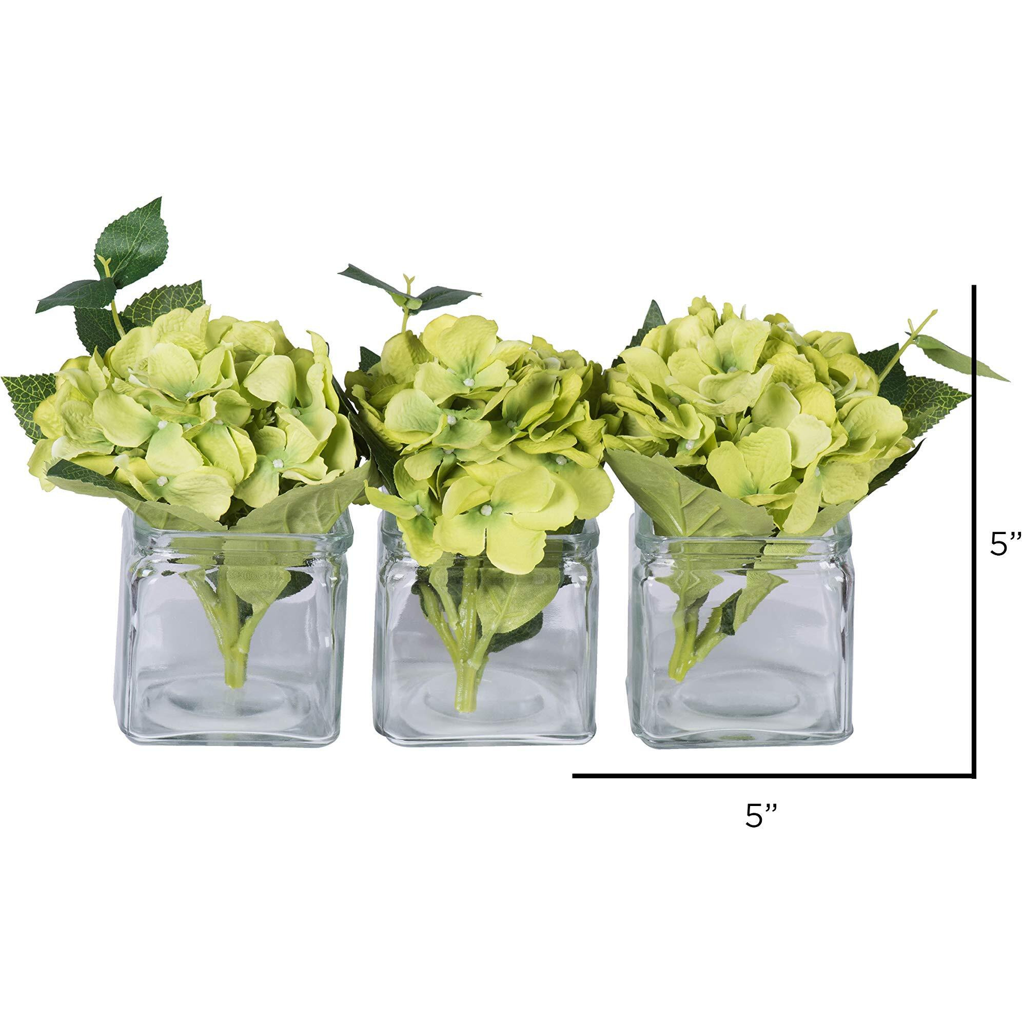 Vickerman 5" Green Hydrangea in Glass Cube 3/Set - F12237