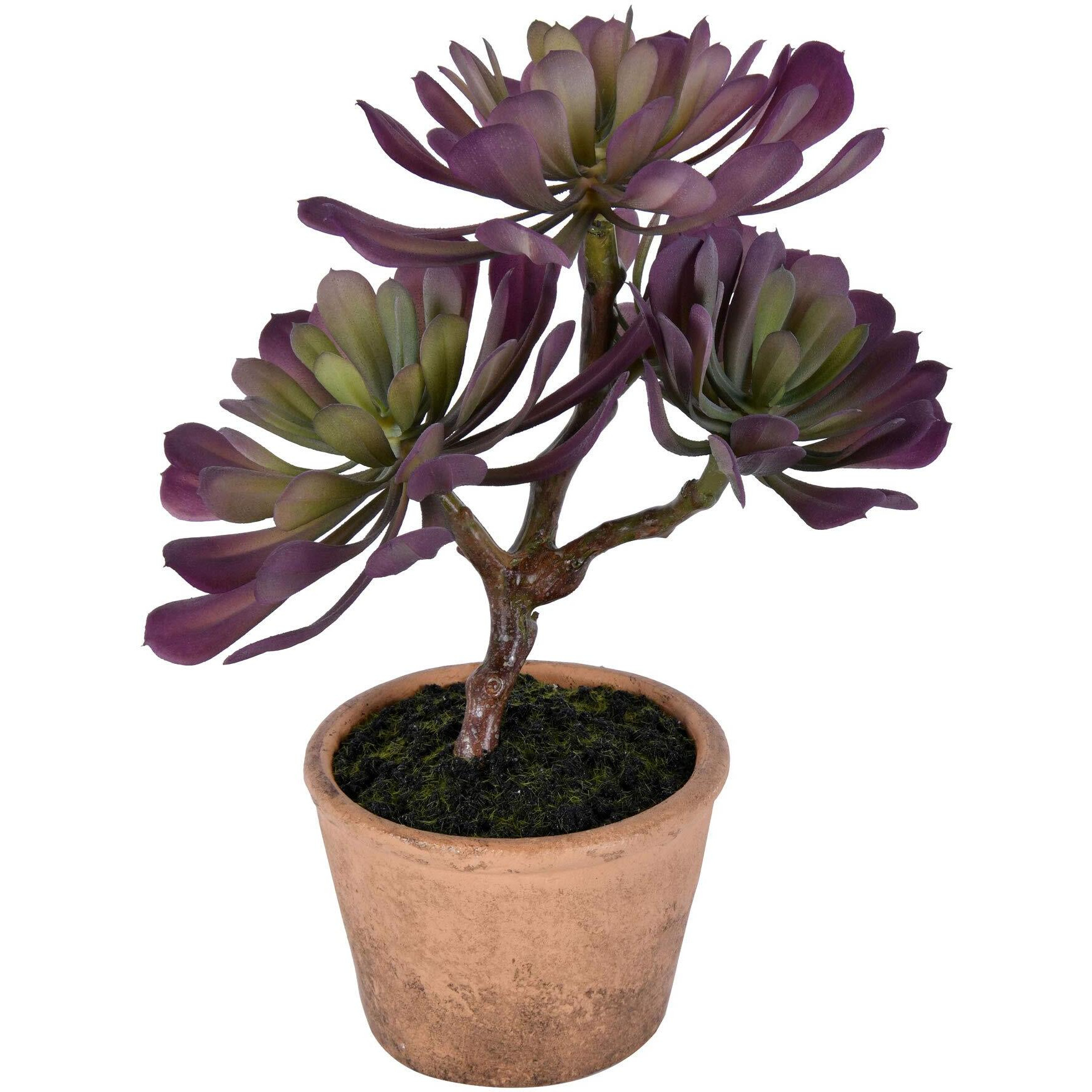 Vickerman 12" Purple/Green Succulent in Paper Pot - FE192412