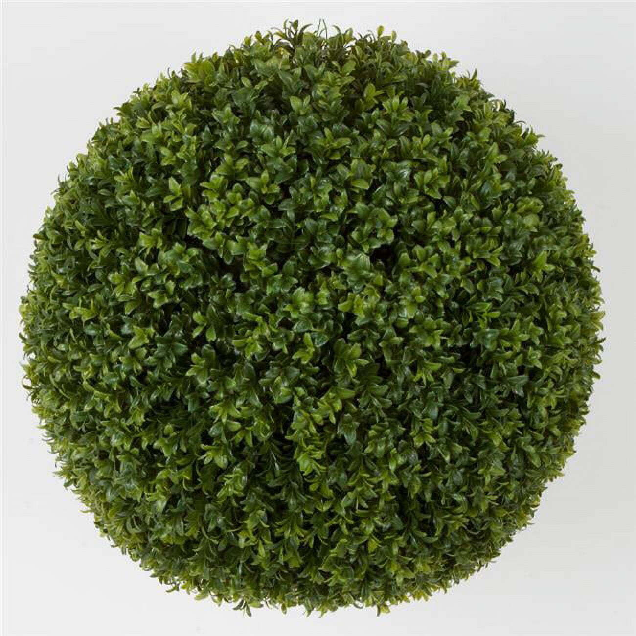 24 in. Boxwood Ball&44 Green