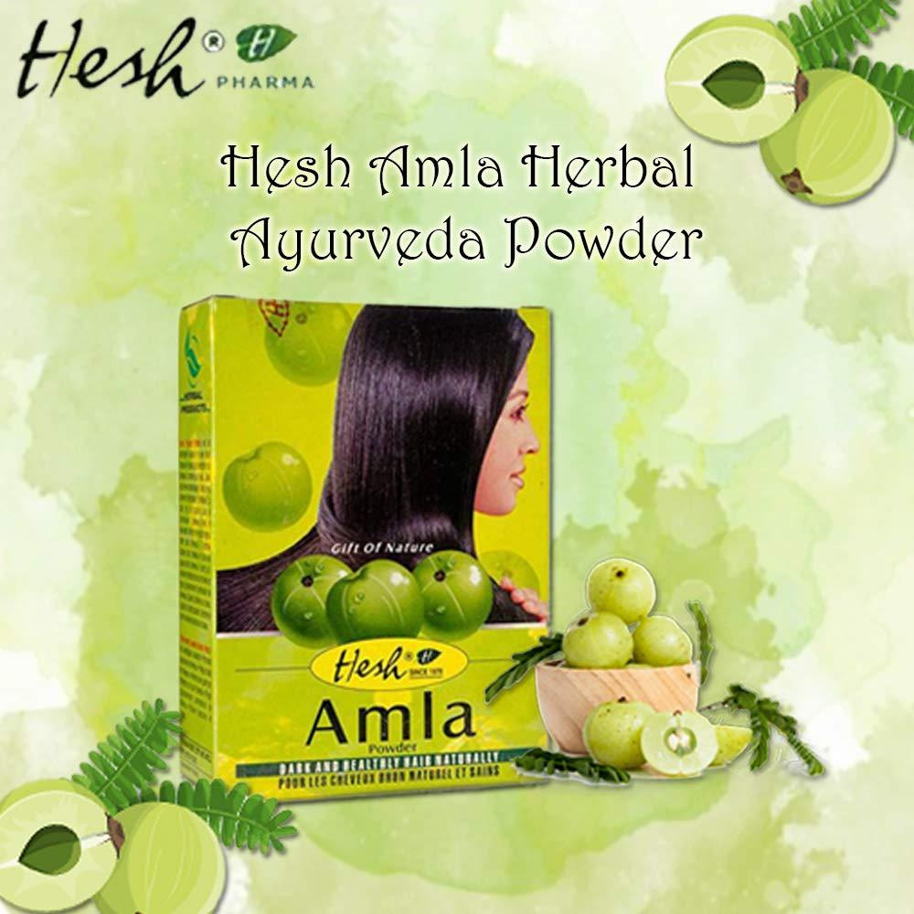 Hesh Herbal Amla Powder - 100 Gm (3.5 Oz)