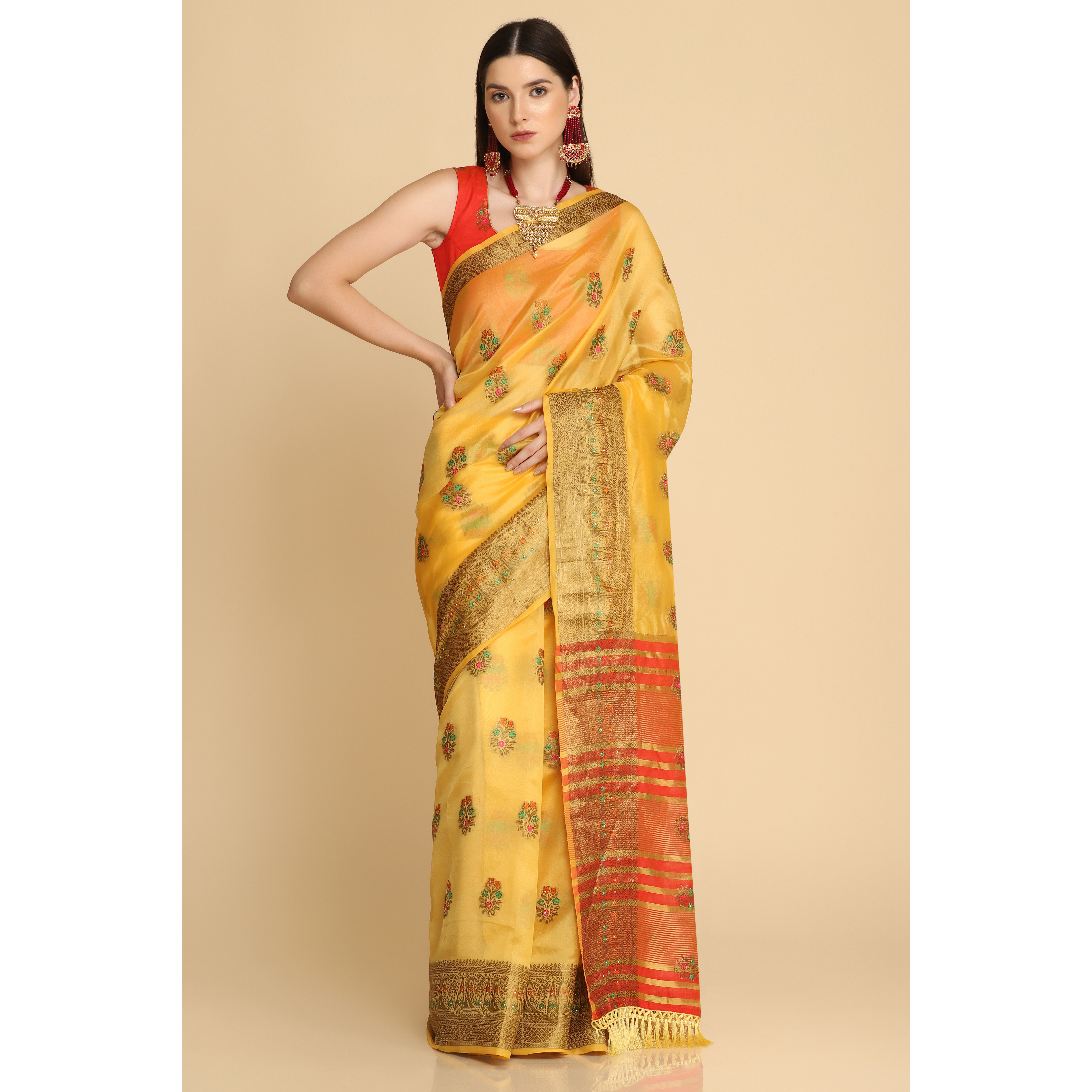 Asisa Natasha Organza Silk With Stone Work Saree